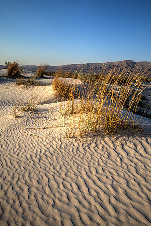 Salt Basin Dunes