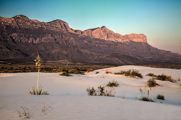 Salt Basin Dunes