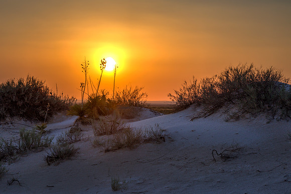 Salt Basin Dunes