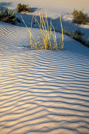 Salt Basin Dunes