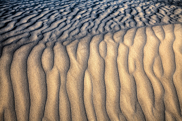 Salt Basin Dunes
