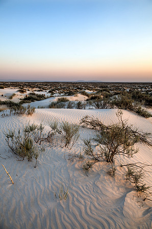 Salt Basin Dunes