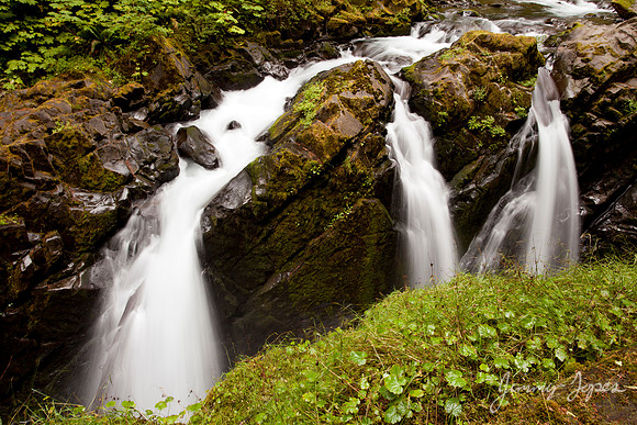 Olympic NP - Sol Duc Falls