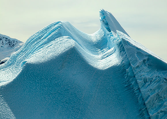 Iceberg - Antarctica