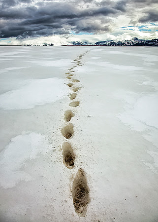 Footsteps - Antarctica