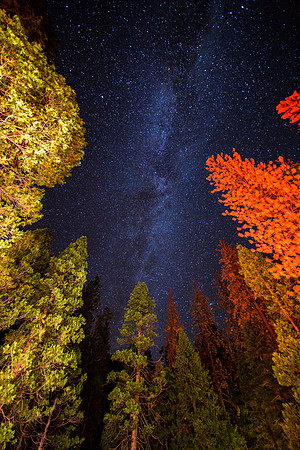 Kings Canyon National Park