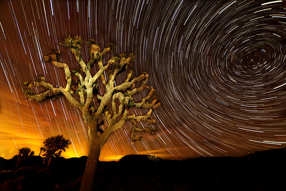 Joshua Tree National Park