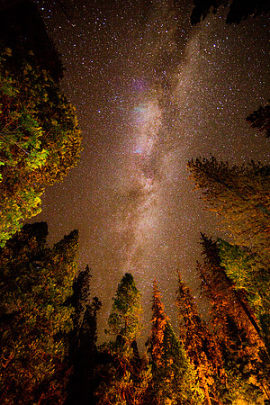 Kings Canyon National Park