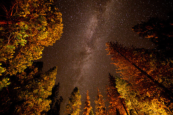 Kings Canyon National Park