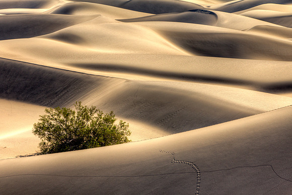 Death Valley NP - Mesquite Flat Dunes